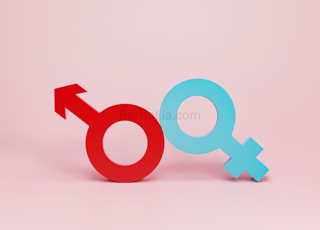 KemenPPPA Dorong Perspektif Gender dalam Agenda WPS - BeritaLia.com