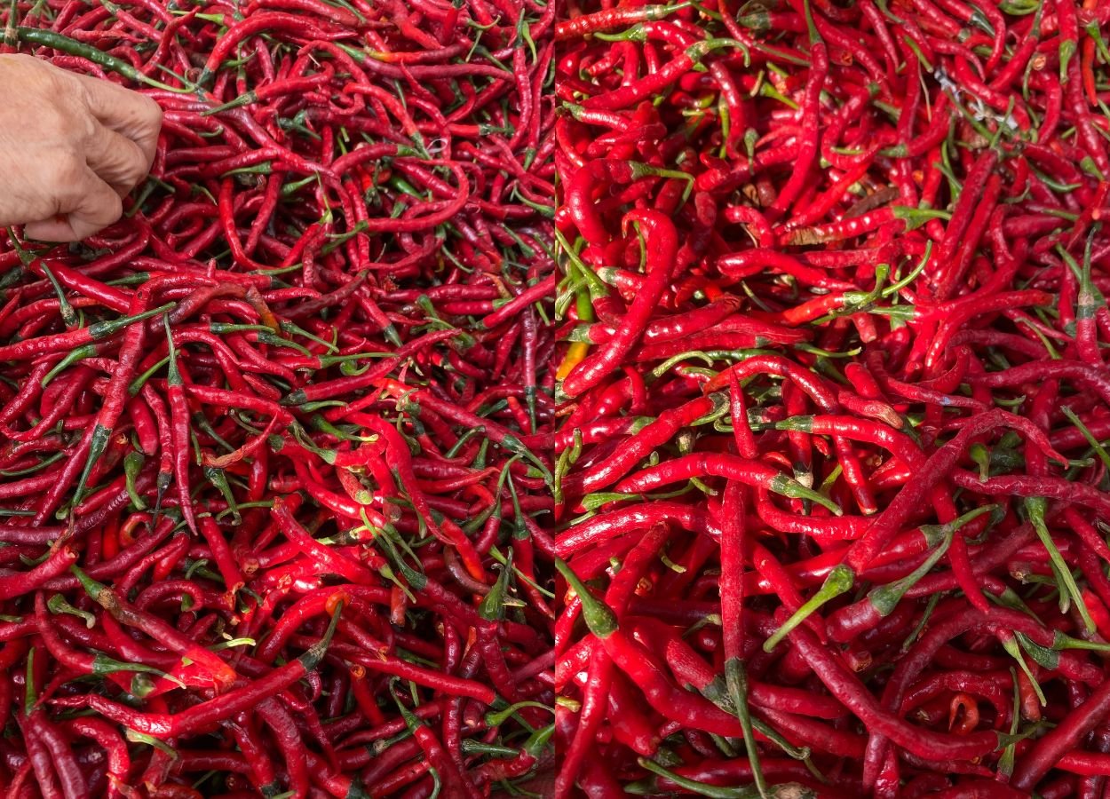 PIHPS Catat Harga Cabai Rawit Merah Rp84.000 per Kilogram - JakartaReport.com